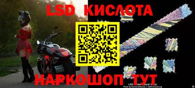 крисы Бузулук