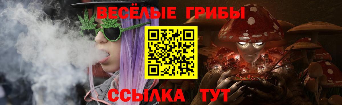 Тайшет  Псилоцибиновые грибы Psilocybine cubensis  купить наркоту  Вход с VPN 